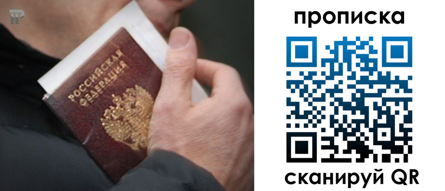 временная регистрация гарантия в Михайловске